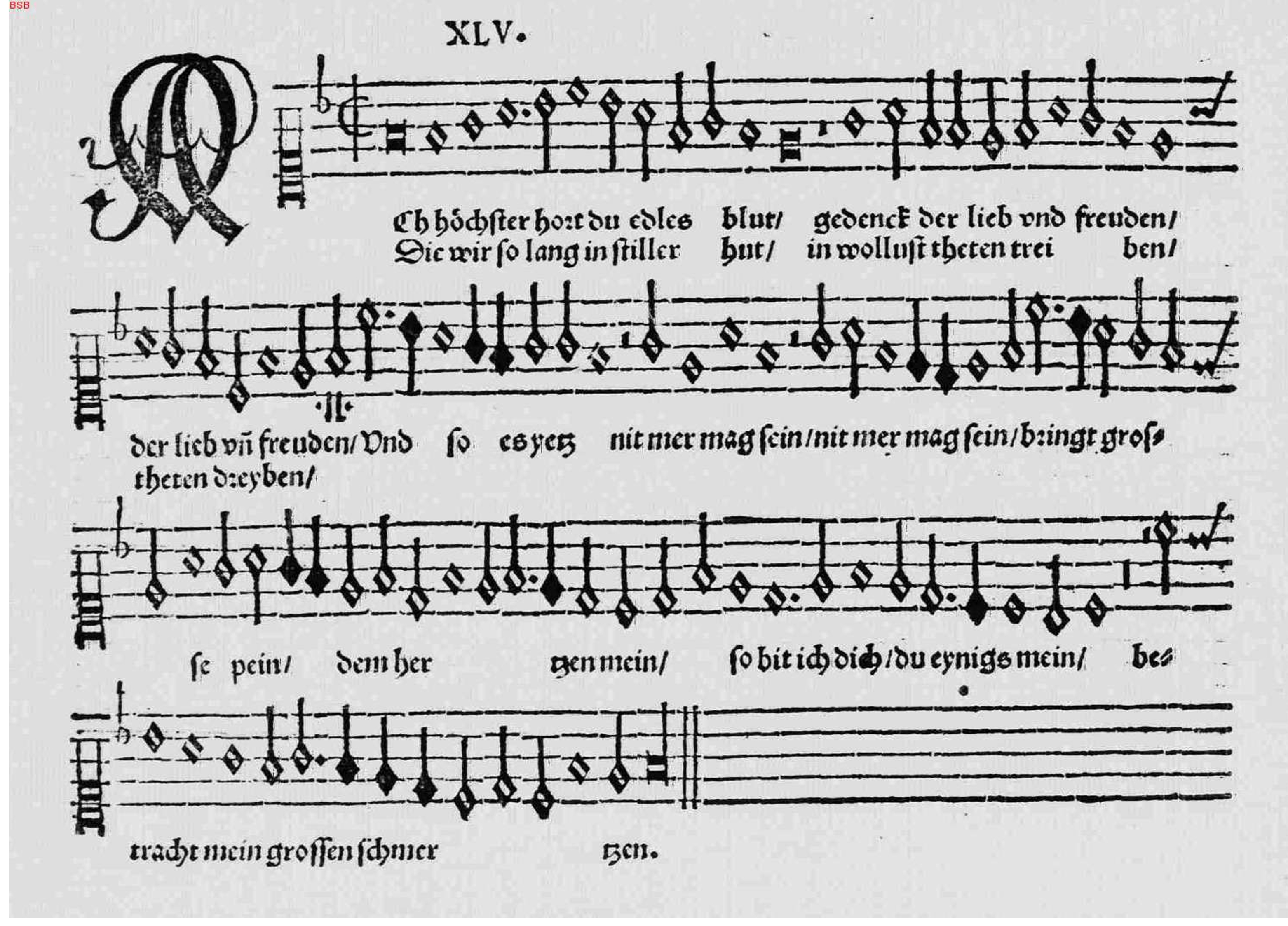 d045.jpg