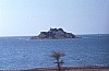 coralisland1.jpg