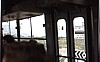 im bus.jpg